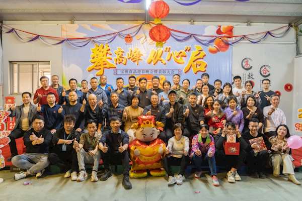 宝桃公司2025年迎春晚会-攀高峰 从“心”启